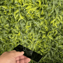 Kit 10 Troféus Acrílico Personalizados 2mm 10x18cm com Base Preta