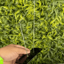 Kit 10 Troféus Acrílico Personalizados 2mm 10x18cm com Base Preta