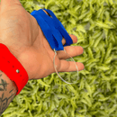 Kit Com 100 Medalhas Acrílico 5cm Cristal 2mm Fita Azul E Amarela