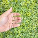 50 Medalhas Quadradas 5cm Acrílico Cristal 2mm C/ Fita Azul