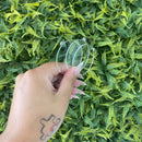 Chaveiro Acrílico Cristal 2mm 50 Círculos De 5cm C/furo Extn