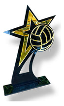 Troféu Vôlei Acrílico Preto E Dourado 14x22 C/base Preta
