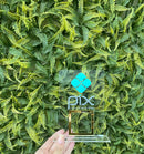 Display Placa Qrcode De Pagamento Pix Em Acrílico 10x15