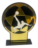 Troféu Futevôlei Acrílico Preto E Dourado 12x20cm